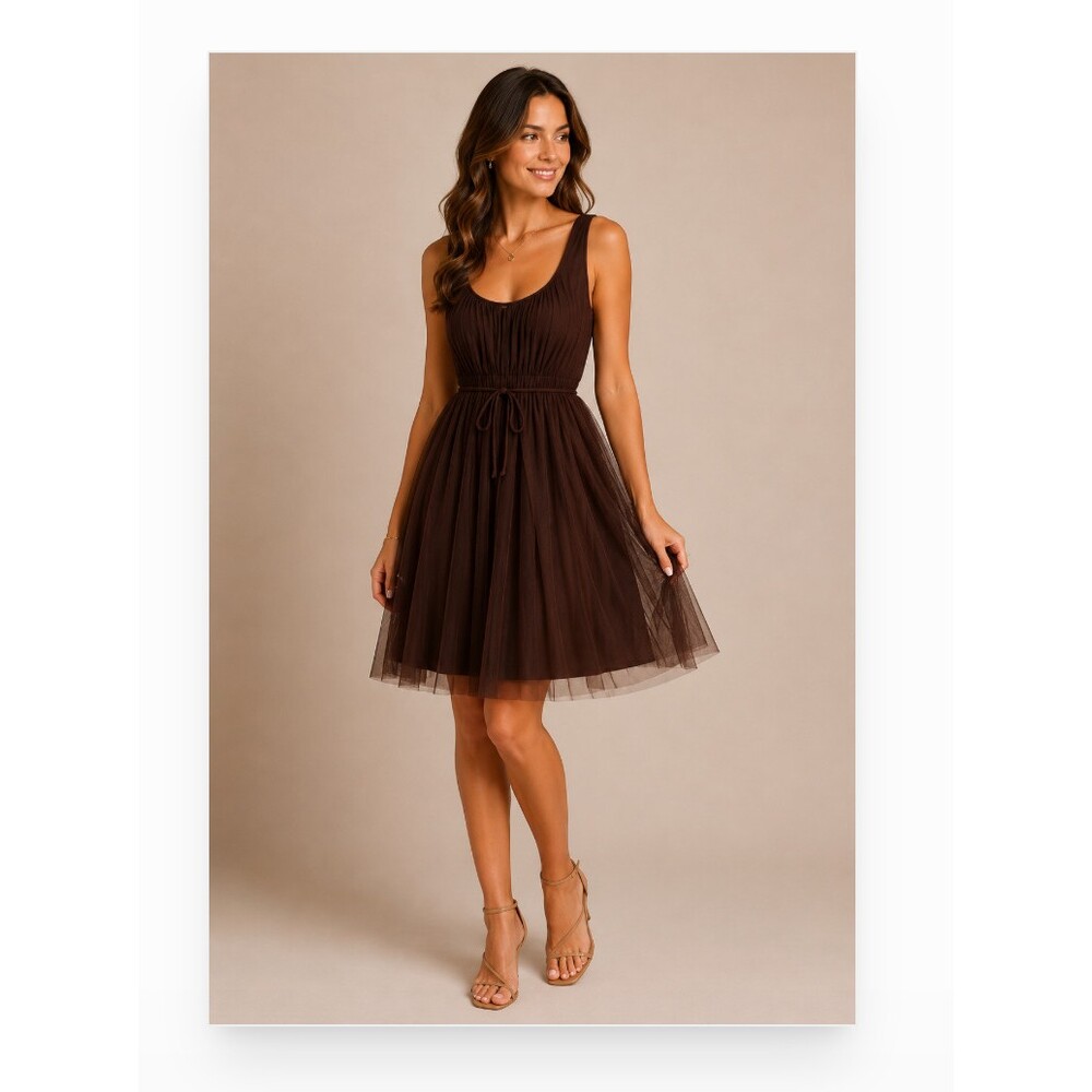 Moulinette Soeurs Dress Womens 4 Brown Chiffon Pleated Scoop Neck Midi Party